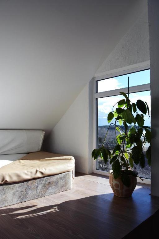 Jurgis Guest House Kowno Zewnętrze zdjęcie